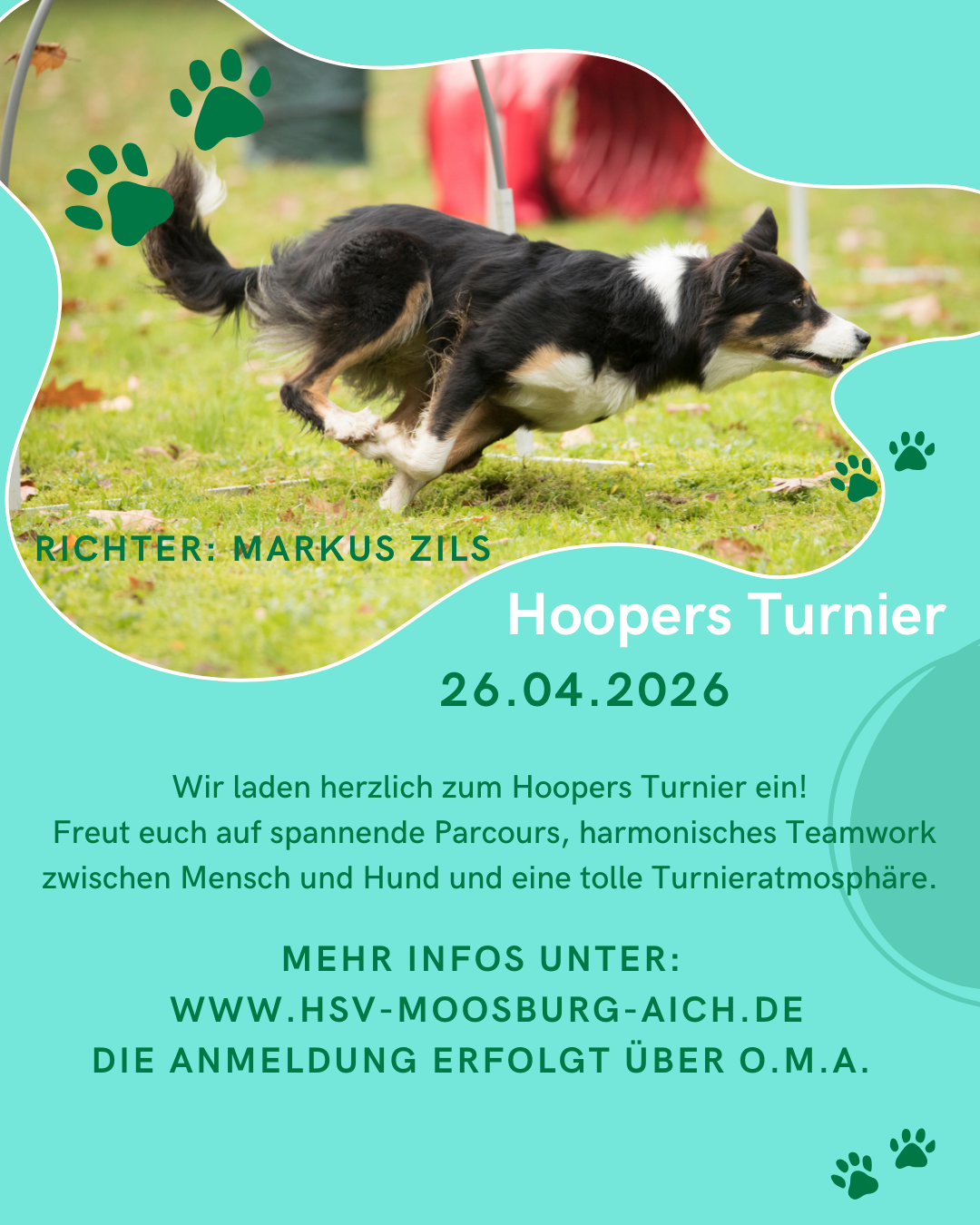 Hoopers Turnier