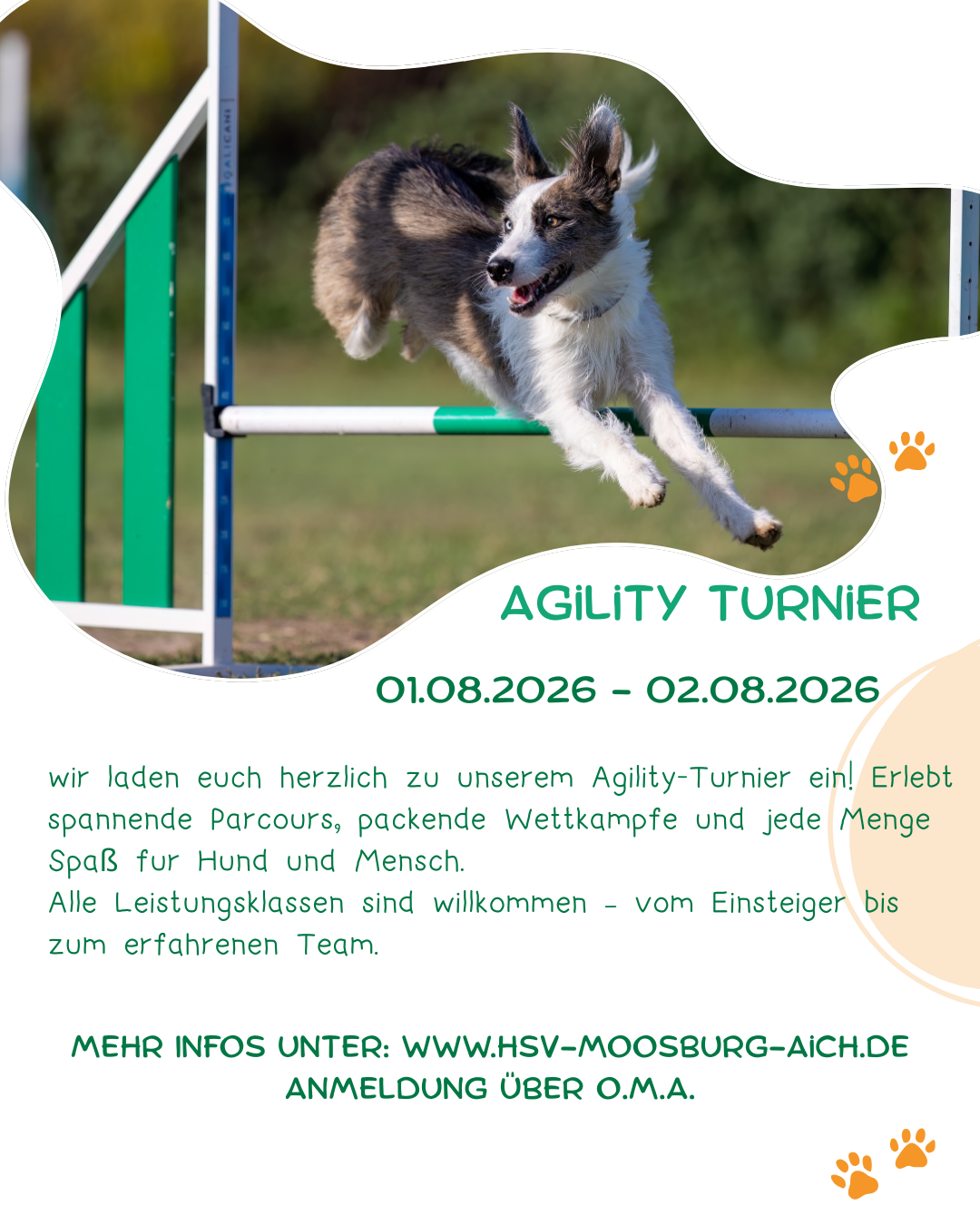 Agility Turnier