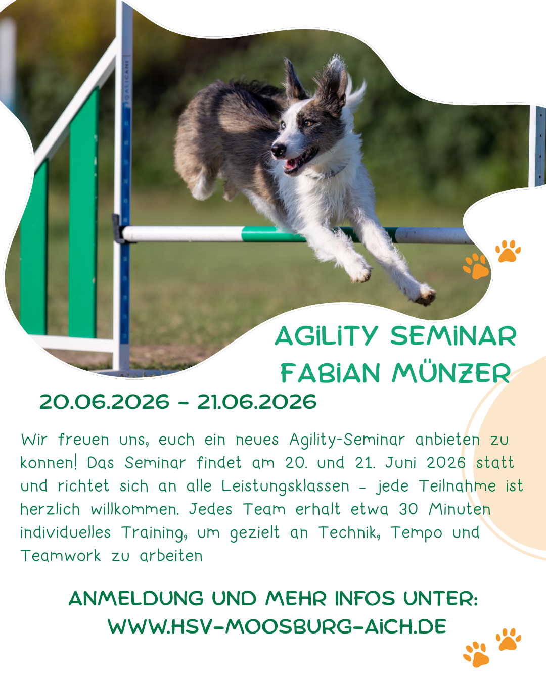 Agility Seminar mit Fabian Münzer