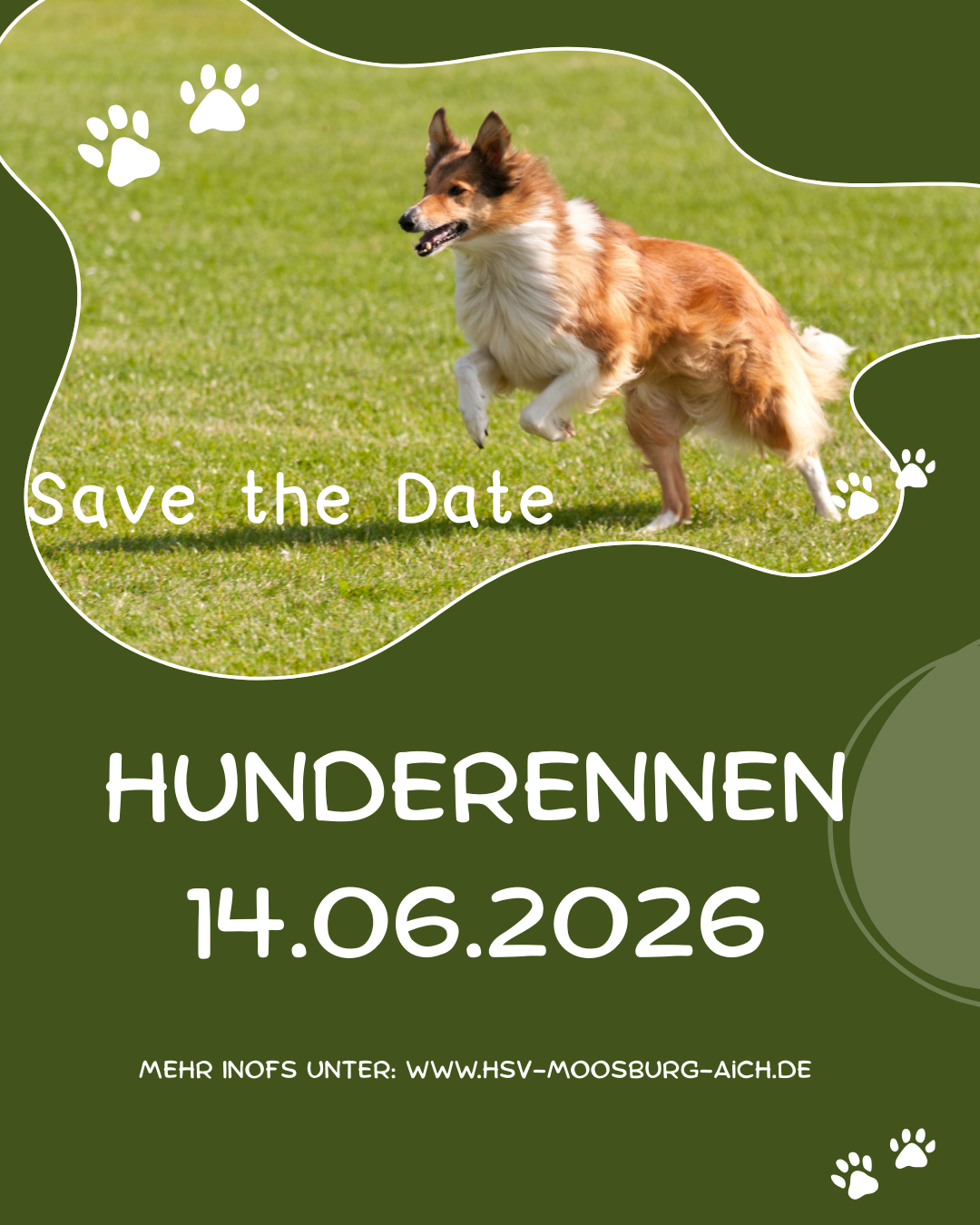 Hunderennen 14.06.2026