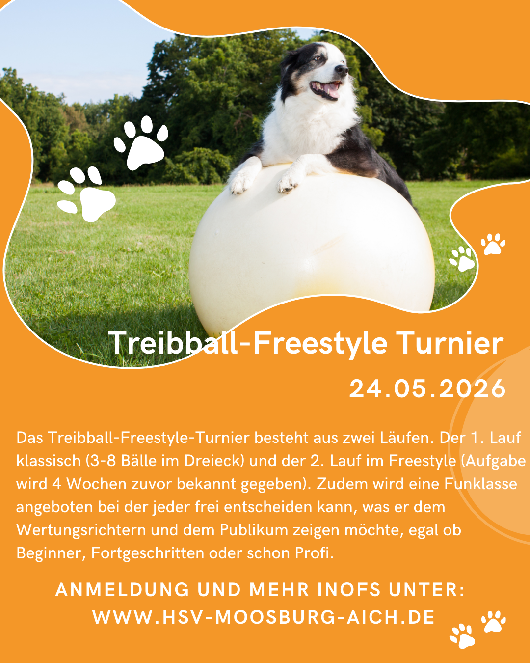 Treibball-Freestyle Turnier