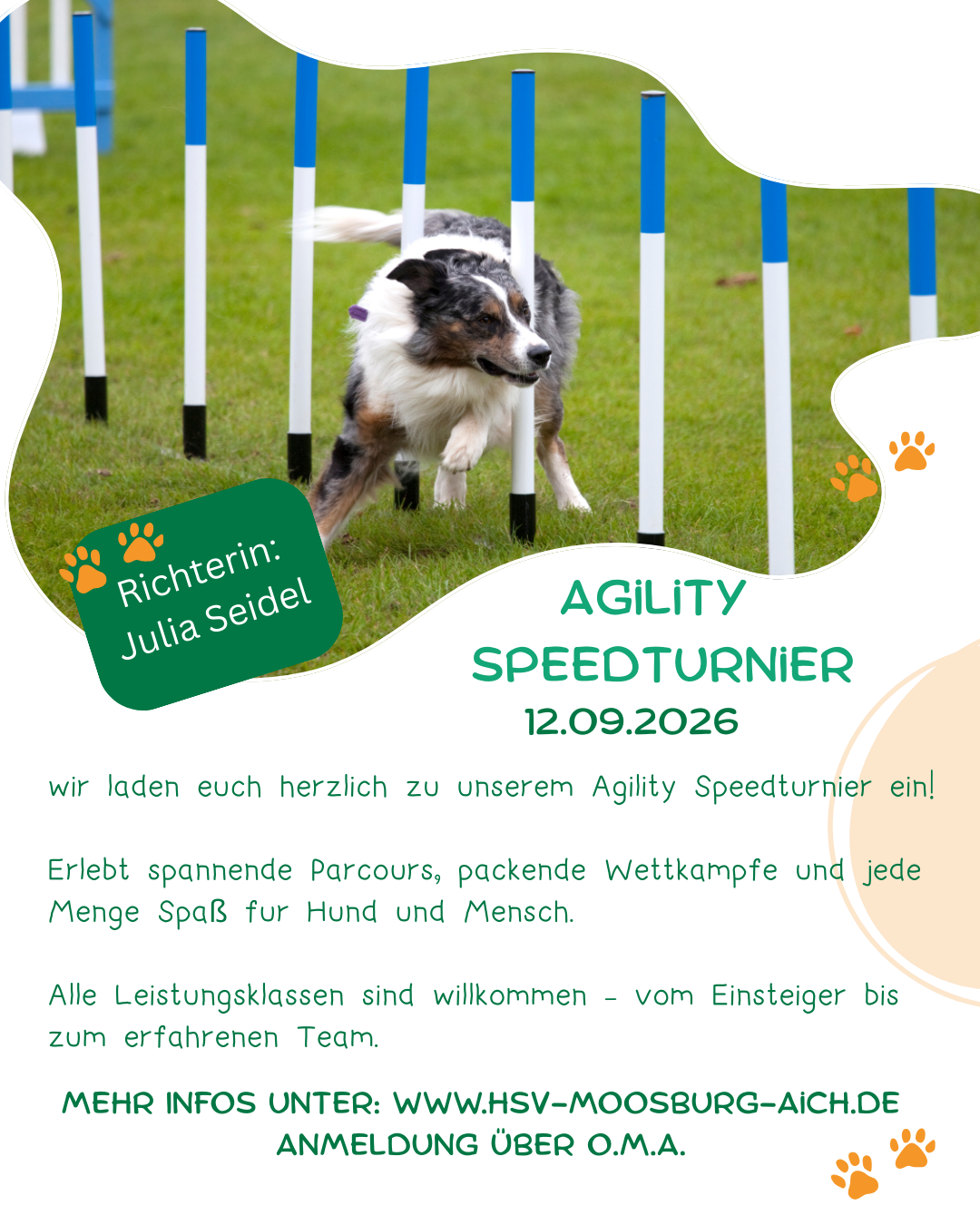 Agility Speedturnier