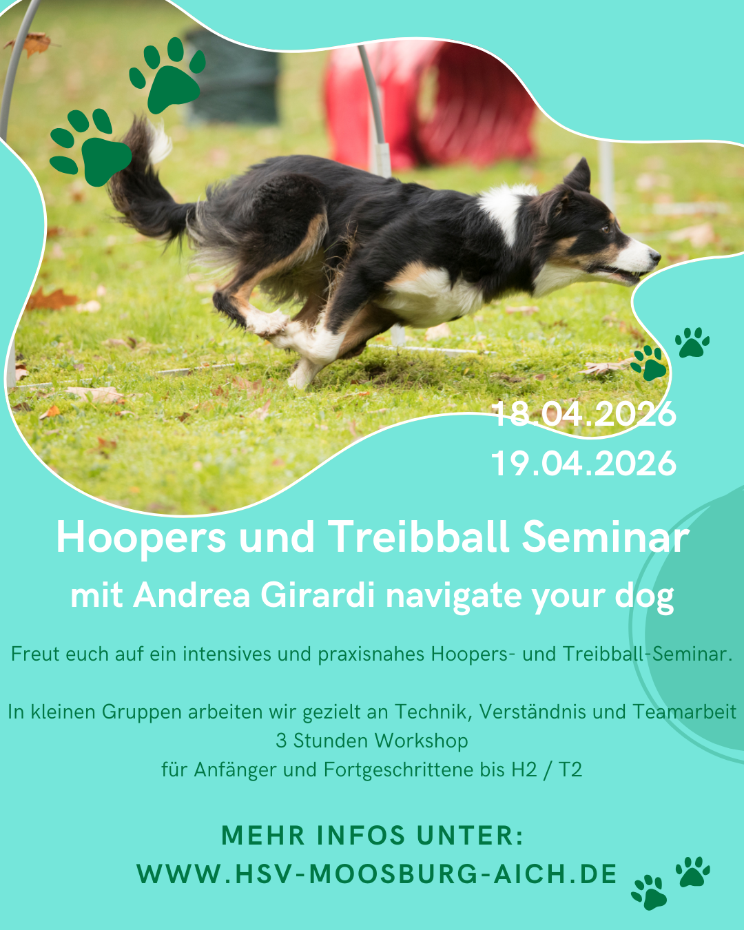 Hoopers und Treibball Seminar mit Andrea Girardi
