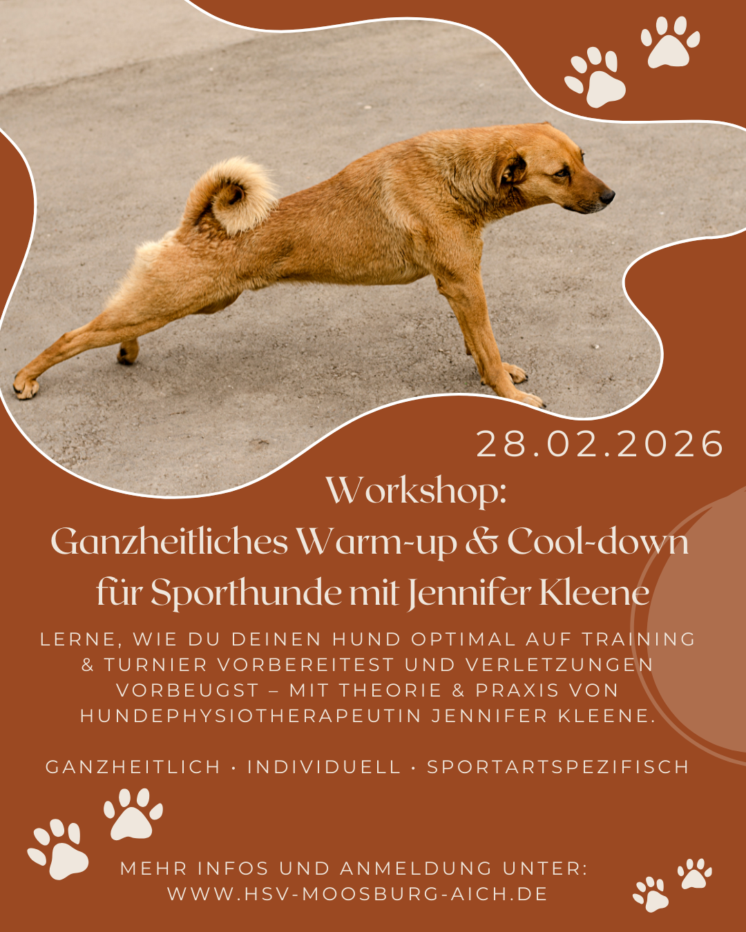 Ganzheitliches Warm-up & Cool-down für Sporthunde mit Jennifer Kleene