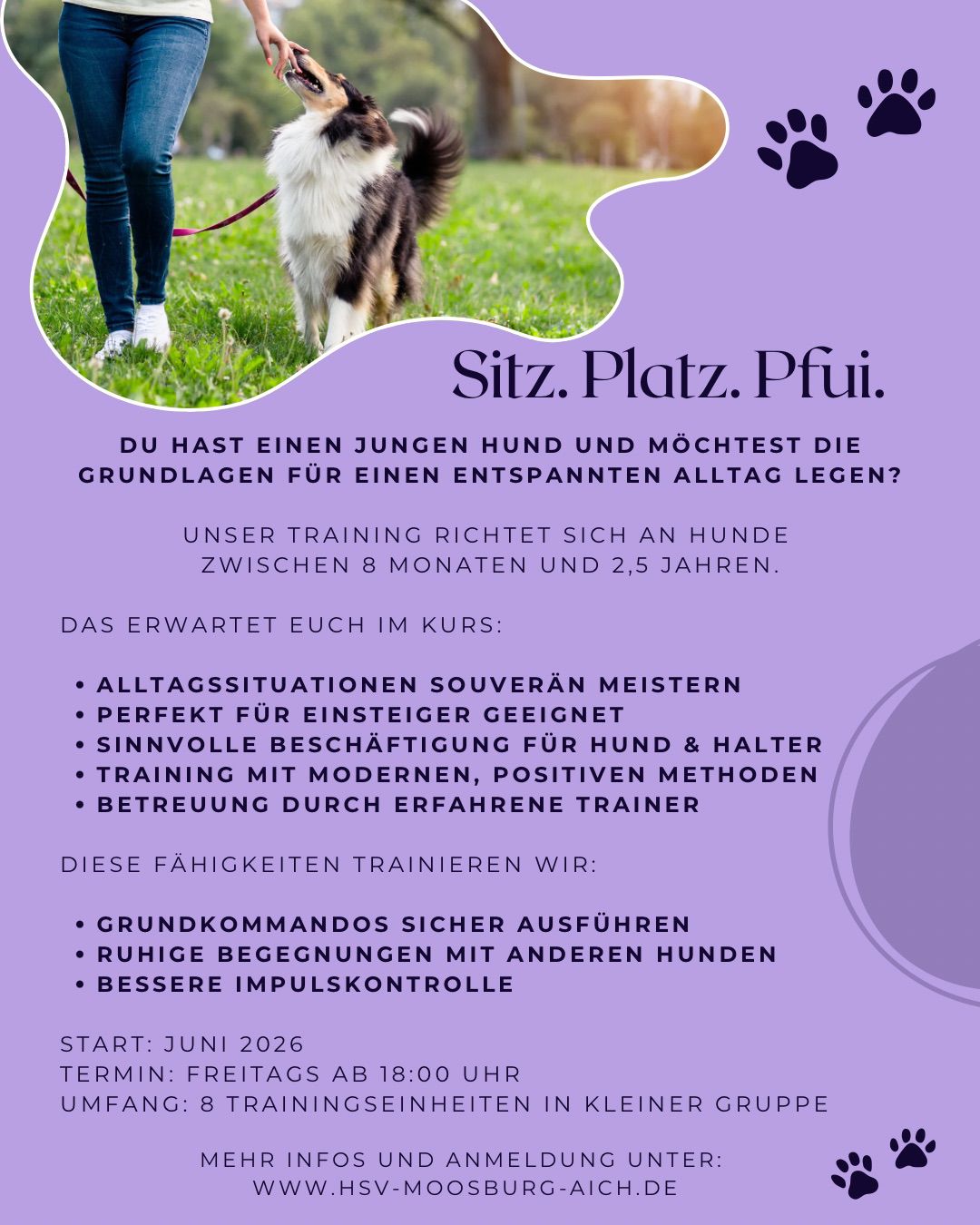 Junghundetraining ab Juni 2026