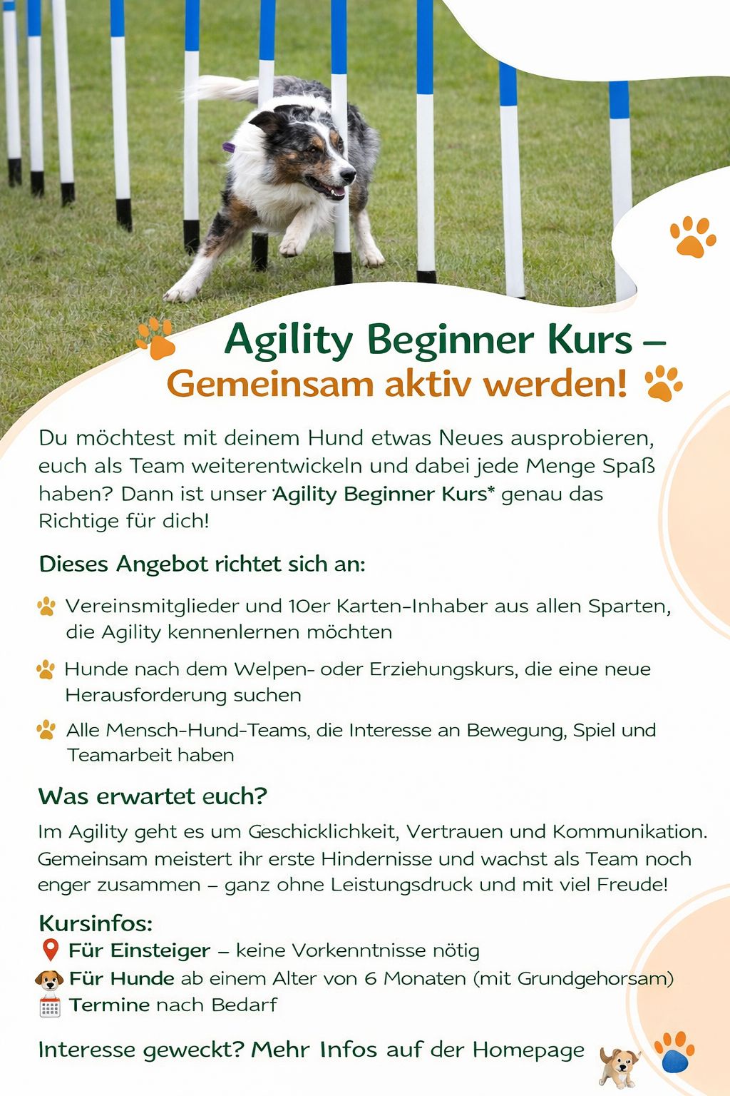 Agility Beginner Kurs