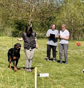 Mehr über den Artikel erfahren Erfolgreicher Saisonauftakt beim Rally Obedience Turnier des HSV Moosburg-Aich