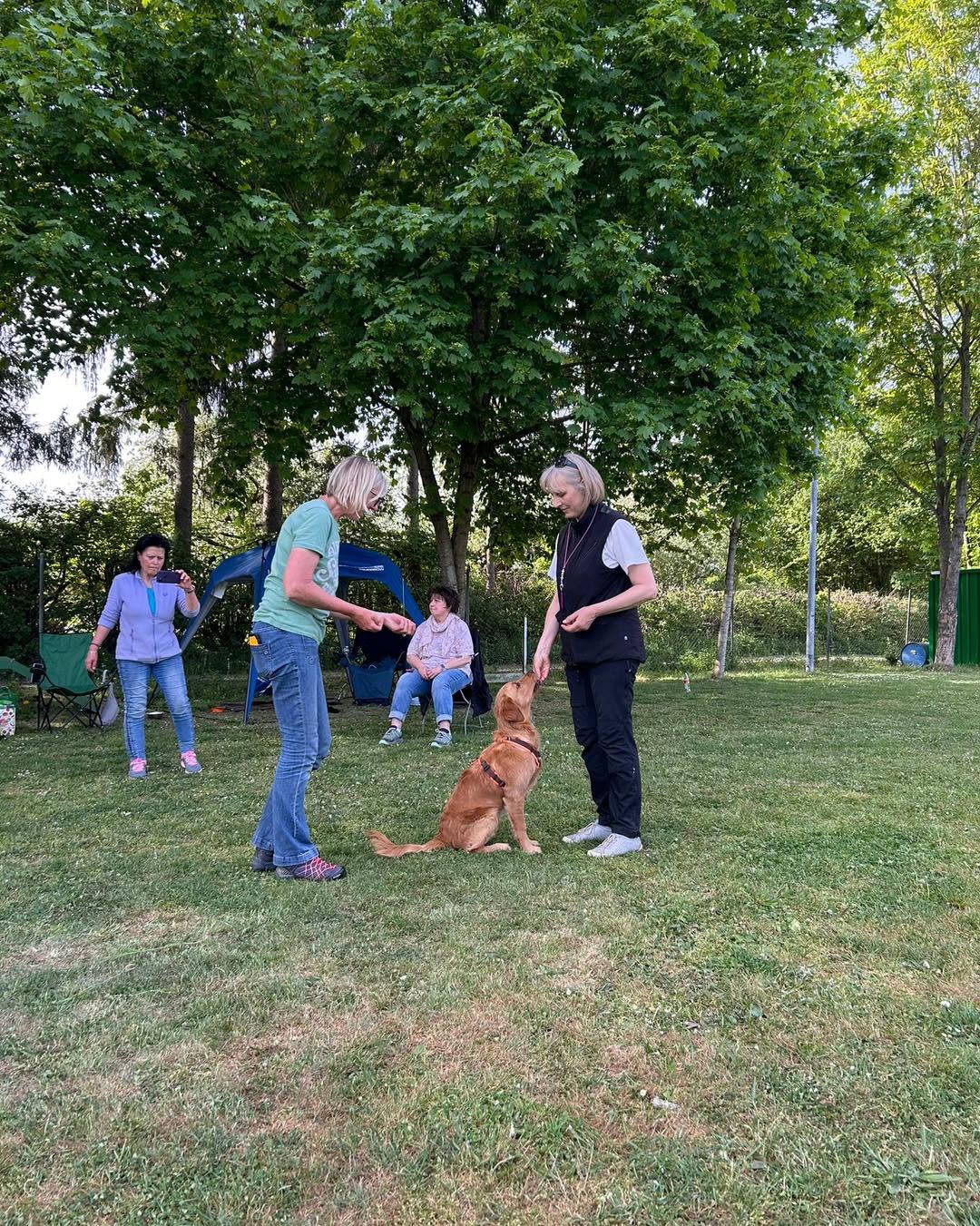 Mehr über den Artikel erfahren Seminarwochenende mit Susi Huber beim HSV Moosburg-Aich
