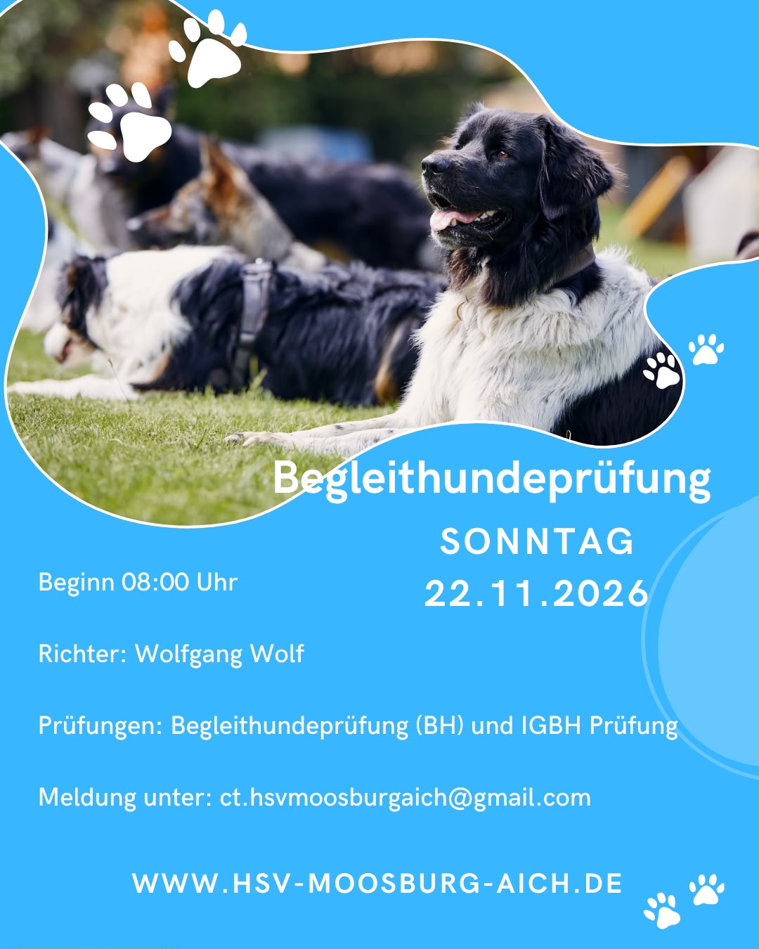 Begleithundeprüfung
